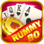 tournament rummy icon